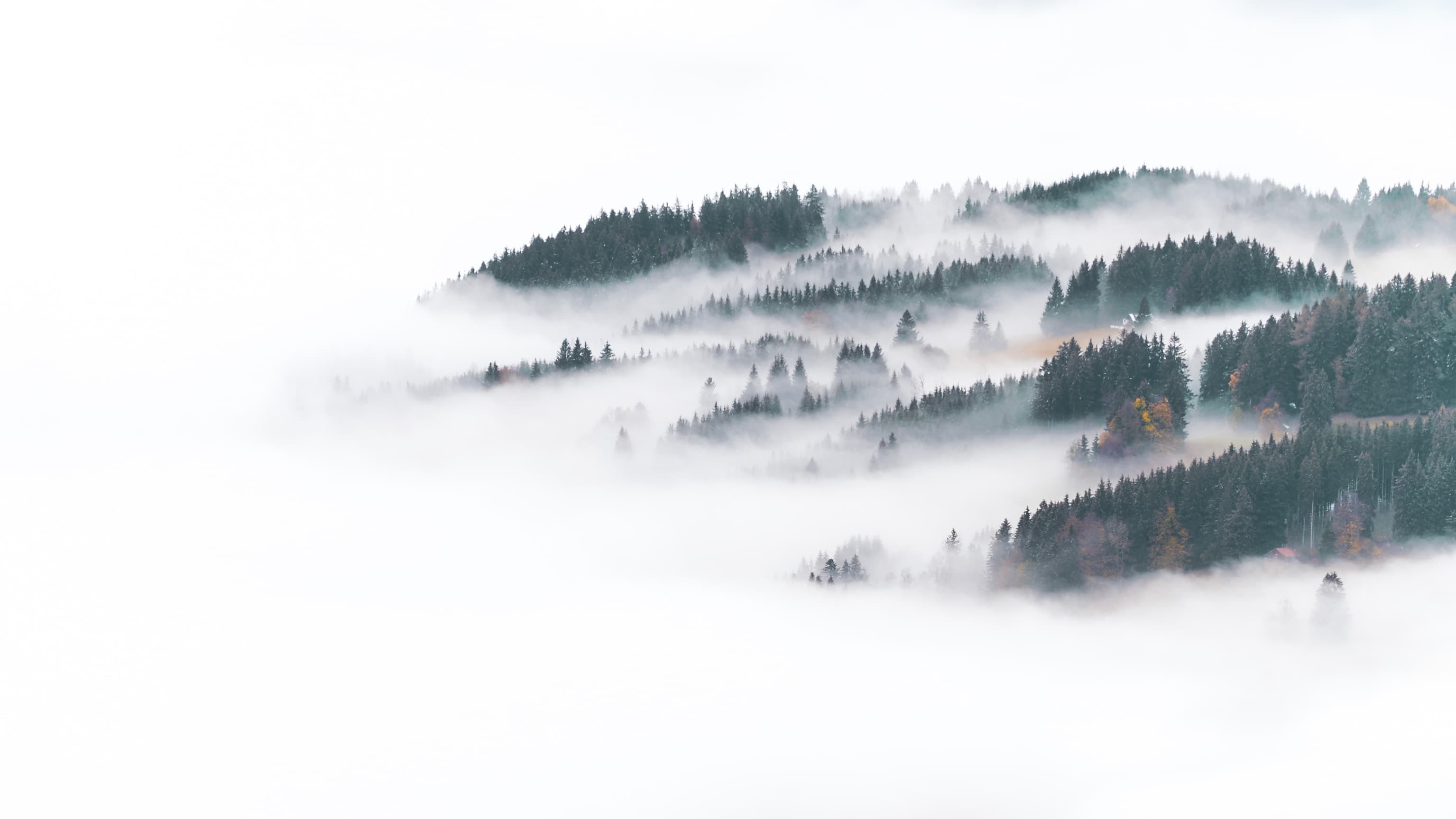 Panoramic mountain wallpaper with fog