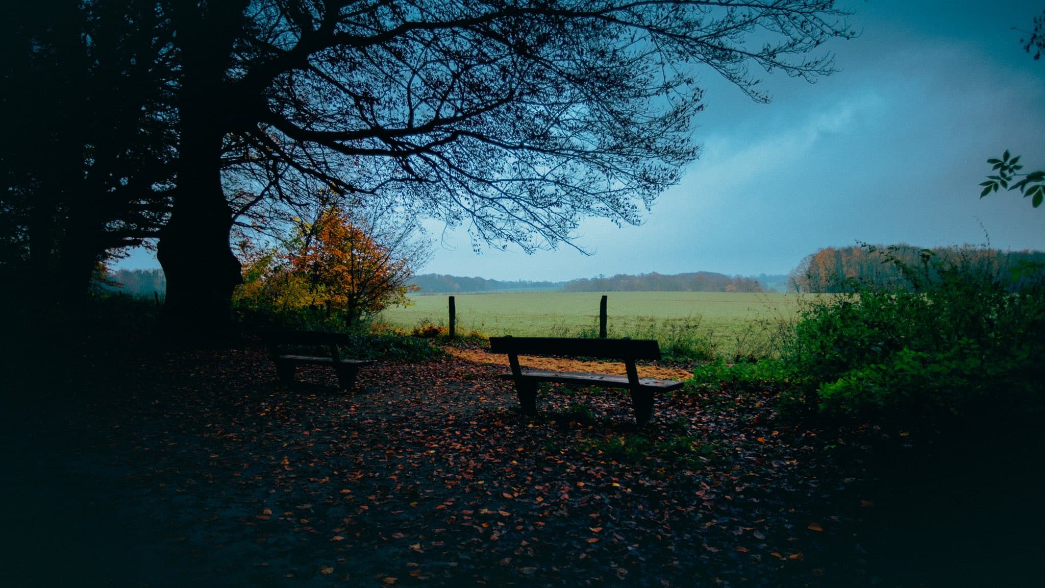 Melancholic nature landscape wallpaper, HD resolution