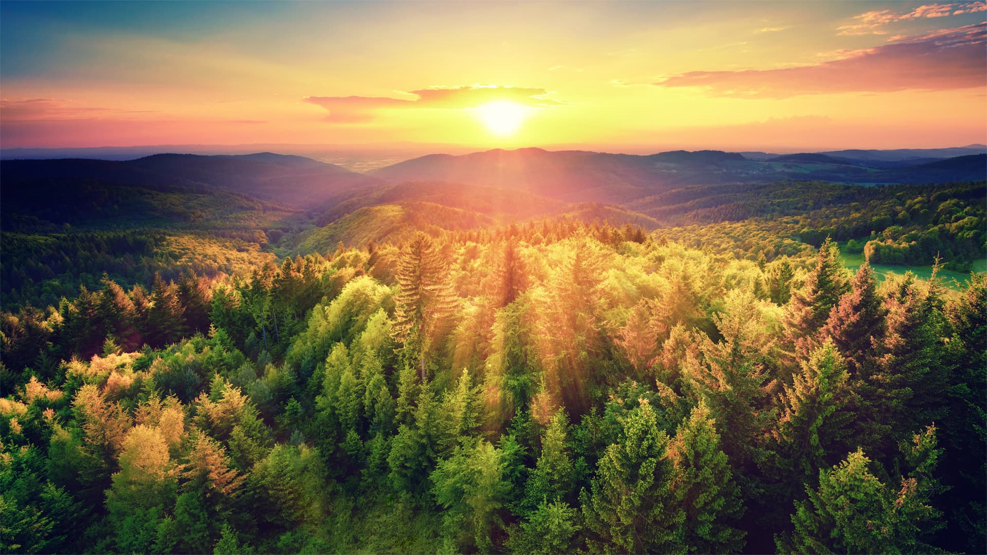 Beautiful forest landscape wallpaper HD