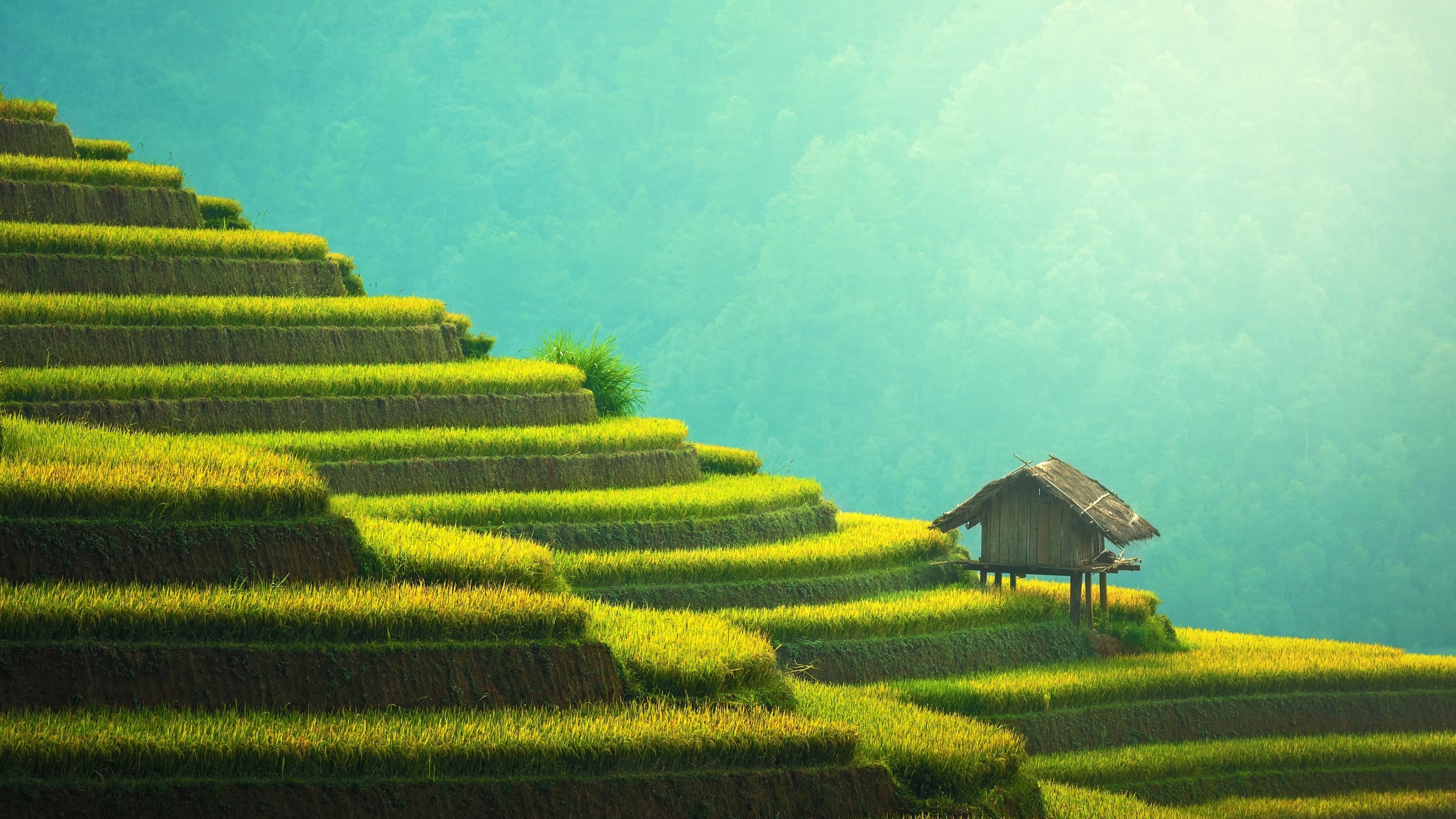 自然风景4K高清壁纸