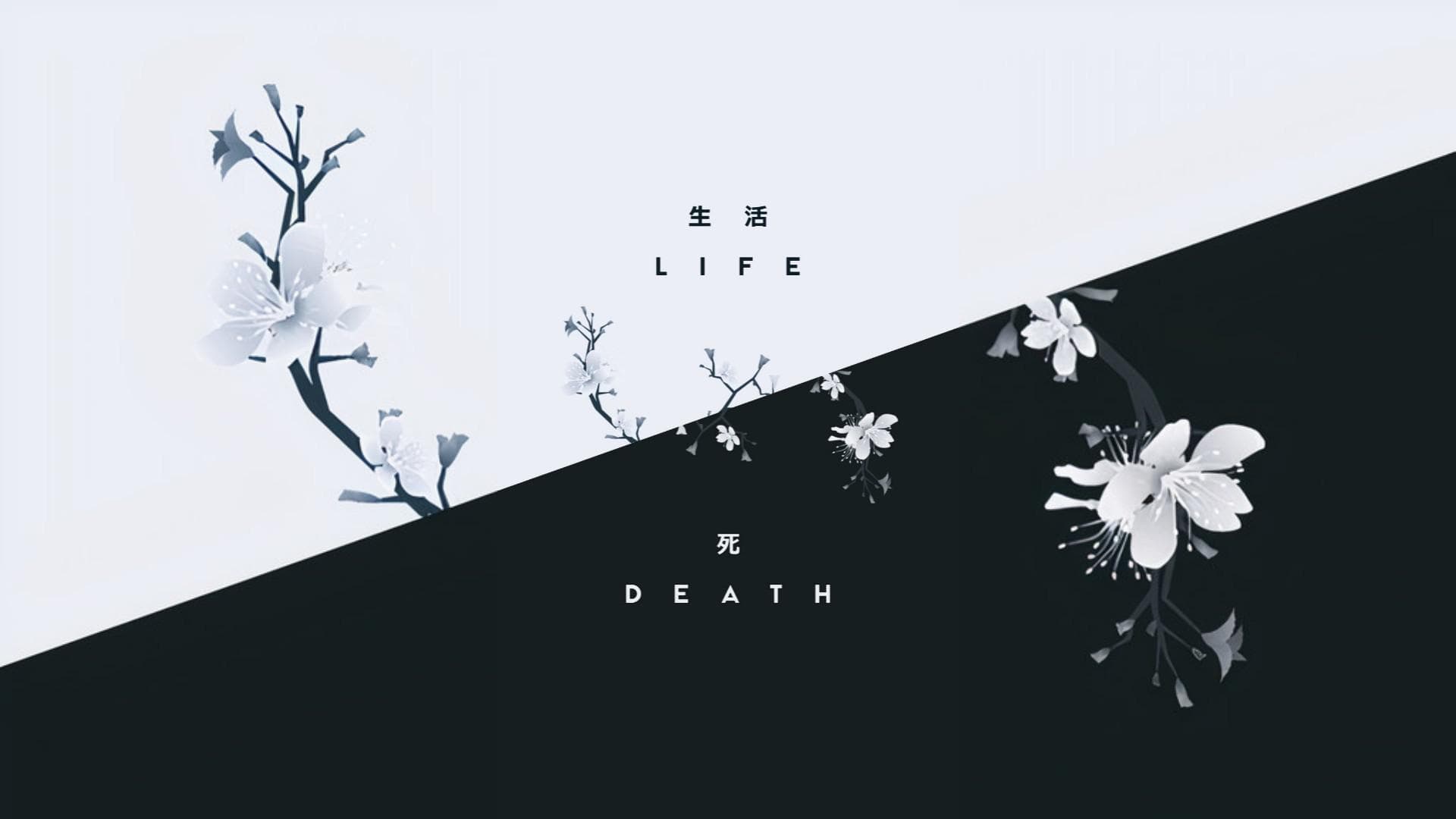 Sakura anime wallpaper, 1920x1080 resolution