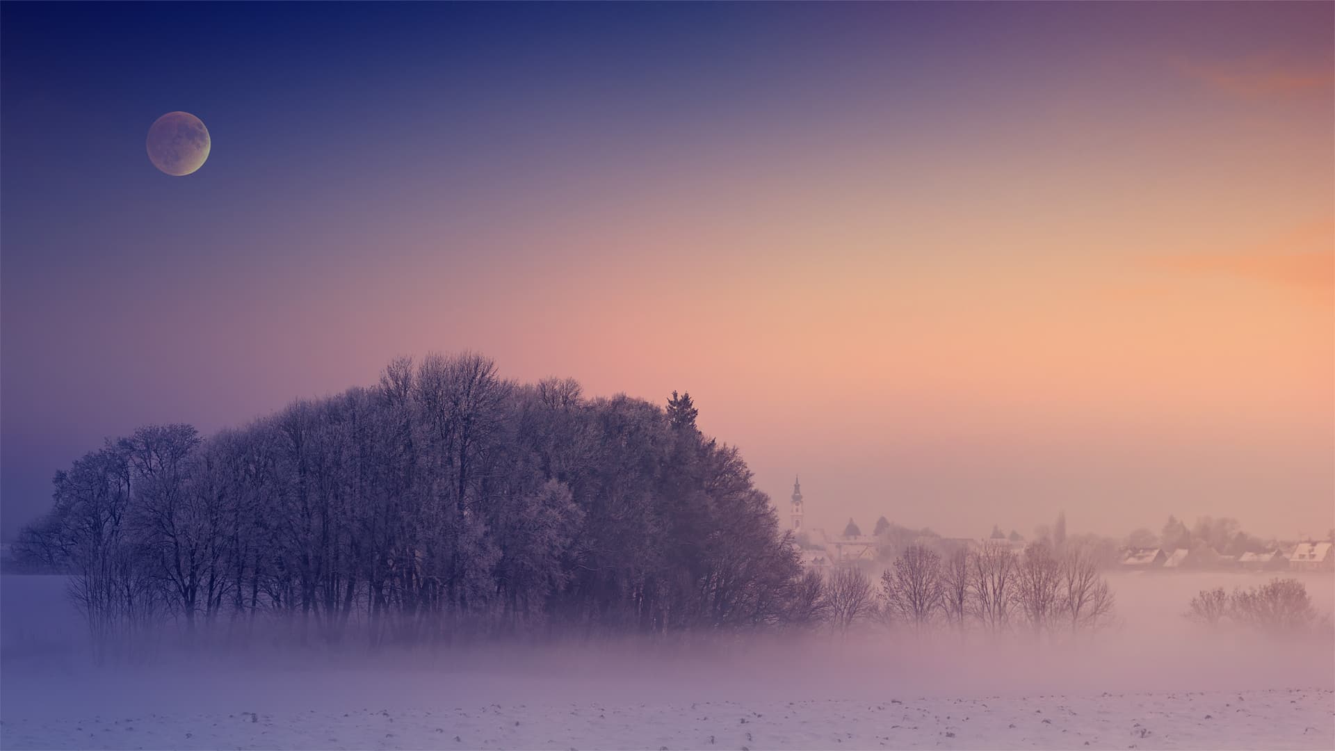 Winter fog scenery HD wallpaper