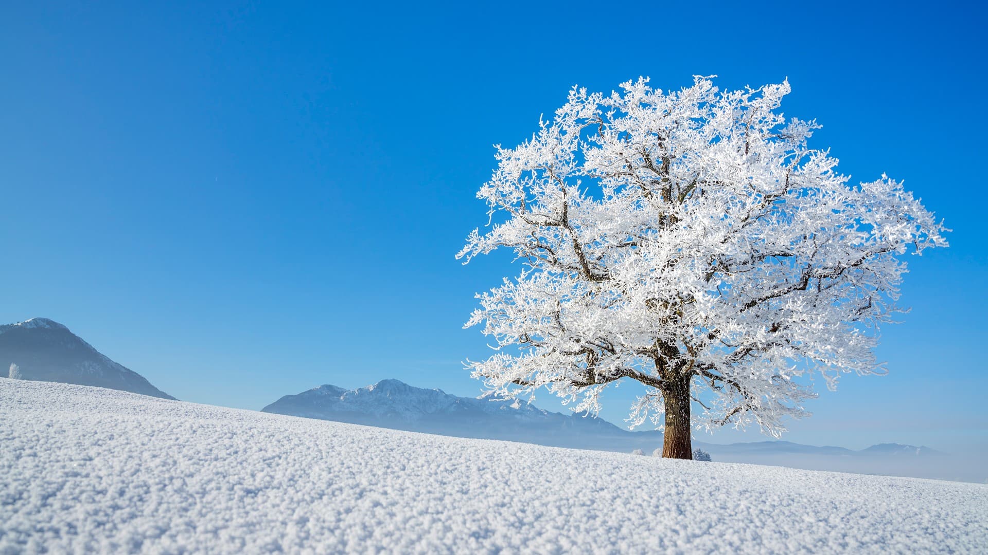 Winter snow landscape wallpaper, 1920x1080